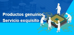 Servicios de marketing auténticos y exquisitos